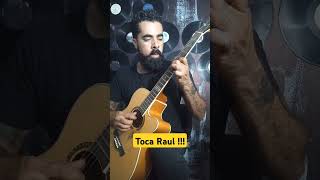 Raul Seixas violao musica metamorfoseambulante [upl. by Lori]