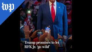 Trump promises to let RFK Jr go wild [upl. by Nilrev]