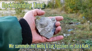 Fossilien sammeln im Jura Kalk Was werden wir finden [upl. by Rossing]