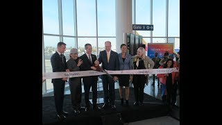 The New Terminal 1 at Los Angeles International Airport LAX [upl. by Ahslek]