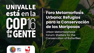 Univalle está en la COP16 de la gente Foro Metamorfosis Urbana [upl. by Urson]