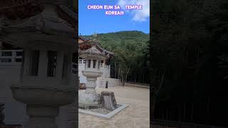 CHEON EUN SA TEMPLE travel 2024 09 29 [upl. by Nueovas]