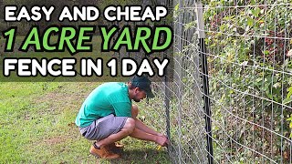 BUILD A CHEAP ONE ACRE YARD FENCE IN 1 DAY [upl. by Airotkciv]