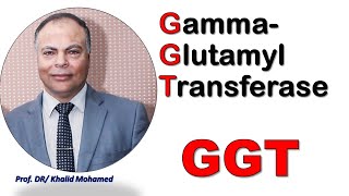 Gamma glutaryl transferase GGT hepatitis liverdisorders شرحبالعربي [upl. by Sandell372]