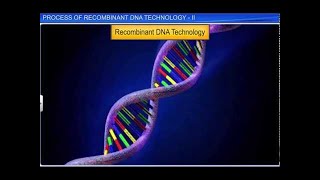 CBSE Class 12 Biology  Process of Recombinant DNA Technol  II [upl. by Adnauqahs586]