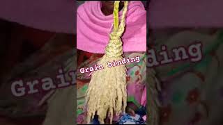 How to make grain binding forano bosa Gurubaro Dhano bandiba technique shortsvideo india [upl. by Anilehcim]