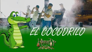 El Cocodrilo Kecura Norteña LIVE 2024 [upl. by Tabib904]