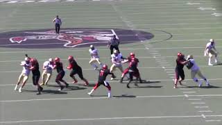 Heidelberg Football vs John Carroll 2017 Highlights [upl. by Acinna764]