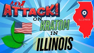 The Kratom Gals  Kratom Under Attack in IL amp Celebrating Misty Browns BDay [upl. by Odlanyar703]