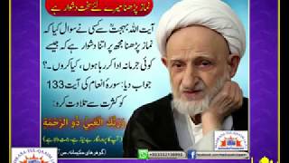 Ayatollah Bahjats Advice For Spiritual Elevation  Syed Abid Hussain Zaidi [upl. by Berlin]