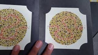 Colour Vision Test  Ishihara Test Book Plate [upl. by Nagle158]