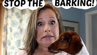 STOP THE BARKINGTesting Bark Deterrents [upl. by Nylrebmik]