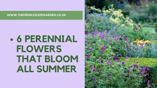 6 perennial flowers that bloom all summer  plus a bonus plant [upl. by Dicky]