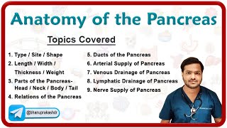 Gross Anatomy Of The Pancreas Parts Relations Neurovascular supply Venous and Lymphatic drainage [upl. by Schifra]