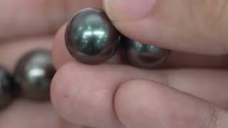 5pcs quotMid Lusterquot Dark Cherry 12mm  RSR AAATOP Quality Tahitian Pearl Auction LOT57 WP103 [upl. by Carena]