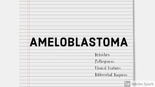 Ameloblastoma  pathogenesis clinical features radiographic feature differential diagnosis [upl. by Linsk]