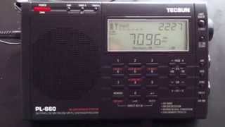 Weird Ham Band Polytones on the Shortwave Radio 17JUN13 [upl. by Nissie]