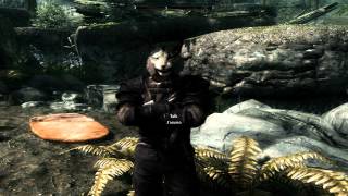 Skyrim ModsquotKhajiit Follower By AlreadyPROquot Episode 4 [upl. by Zuleika]