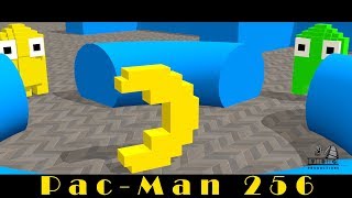 PacMan 256 Entry  NEW VIDEO 2019 [upl. by Sinnal]