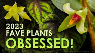 15 Plants I Obsessed Over in 2023 [upl. by Yasmeen]