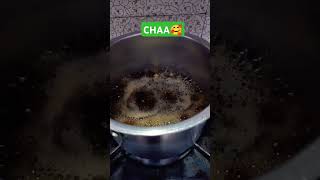 Chaa 🥰🥰chai chailovernewsongpahadi pahadisong youtubeshorts viralshort [upl. by Andy]