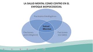 quotClase 9  Red Temática de Salud Mentalquot Salud Mental  HCVB [upl. by Kosse]