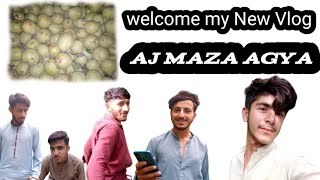 Welcome my New Vlog AJ Maza Agya DuckyBhai rajabbutt94 [upl. by Nylasoj]