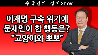 송국건TV 이재명 구속 위기에 문재인이 한 행동은 “고양이와 뽀뽀” [upl. by Publia563]