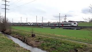 SBB RABe 523 Mouette slow pass by in Bassersdorf [upl. by Atelokin659]