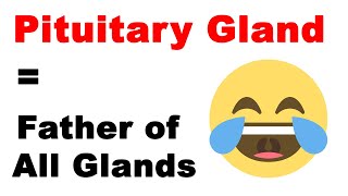 Pituitary Gland  Father of All Glands  Class 10th Biology [upl. by Alegna]