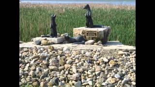 Spring comes to Hennepin wetlands [upl. by Suzi233]