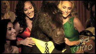 Hollywood Park Casino Commercial quotBuck Whinnersquot [upl. by Tu]