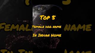 Top 5 Female Dog Names shorts dog dognames doglover animallover [upl. by Derrek723]