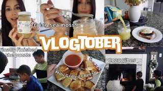 Sea Moss Taste Test Breakfast Puzzles by the Fireplace and Yummy Easy Meals vlogtober 2024 [upl. by Turne]