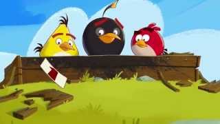 Angry Birds\ Funny Moment funny angrybird comedy angrybirdstoons memes angrybirds humor [upl. by Aicilehp174]