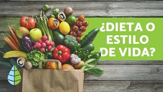 Diferencia entre VEGANO VEGETARIANO y CRUDIVEGANO [upl. by Mello]