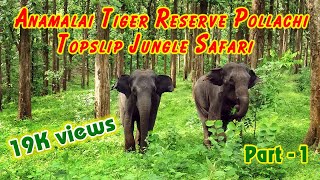 TOPSLIP JUNGLE SAFARI PART 1  Anamalai Tiger Reserve Nature Lover [upl. by Lrub]