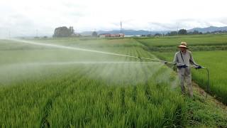 田んぼ防除2014『動力噴霧器登場です！』 Rice field disinfection Power atomizer [upl. by Imray677]