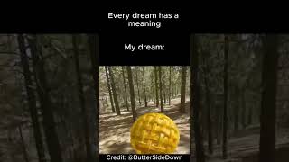 Every dream has a meaning meme  credit ButteredSideDown [upl. by Christean]