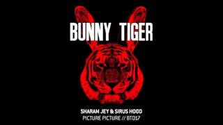 Sharam Jey amp Sirus Hood  Picture Picture  BT017 [upl. by Shaddock939]