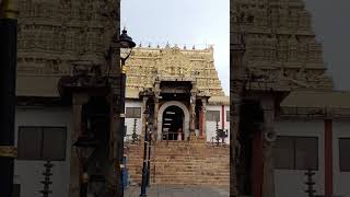 Padmanabha Swamy temple trivandrum💥💗 temple history mystery padmanabhaswamytemple kerala [upl. by Mace162]