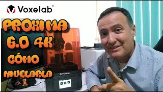 Voxelab Proxima 60 4K Impresora 3D Cómo nivelarla [upl. by Nottus]