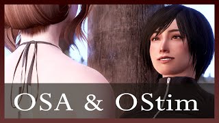 OSA and OStim NG Installation Guide [upl. by Maite740]