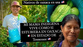 Mi mama indígena vive como si estuviera en su pueblo en Oaxaca 🇲🇽 en USA 🇺🇸 😊 [upl. by Goldner]