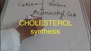 Biochemistry lipid cholesterol synthesisbiochemistry cyclesmetabolism of lipidscholesterol metab [upl. by Nesnah28]