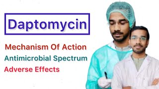 Daptomycin  Mechanisms of action  Antimicrobial spectrum  Adverse Effects [upl. by Aeduj834]