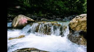 Beautiful Relaxing Piano Music with Waterfalls Sound  Help You to Calm and Sleep [upl. by Eustacia]