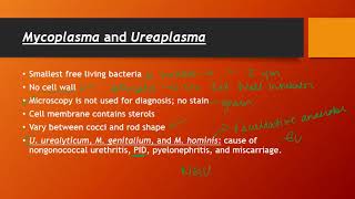 Mycoplasma and Ureaplasma [upl. by Maram]