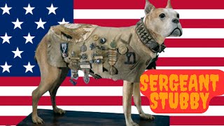 Sergent Stubby The Famous American Dog With Incredible Skills In The History Of America [upl. by Delphinia]