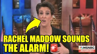 Rachel Maddow CALLS OUT National Security Agencies Over MUSK [upl. by Schechter]